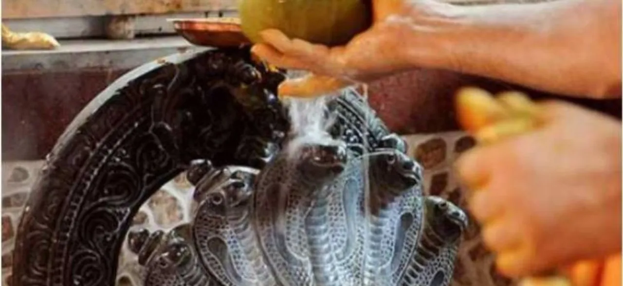 Nag Panchami 2019: Know all about special significance, vrat katha and muhurat 