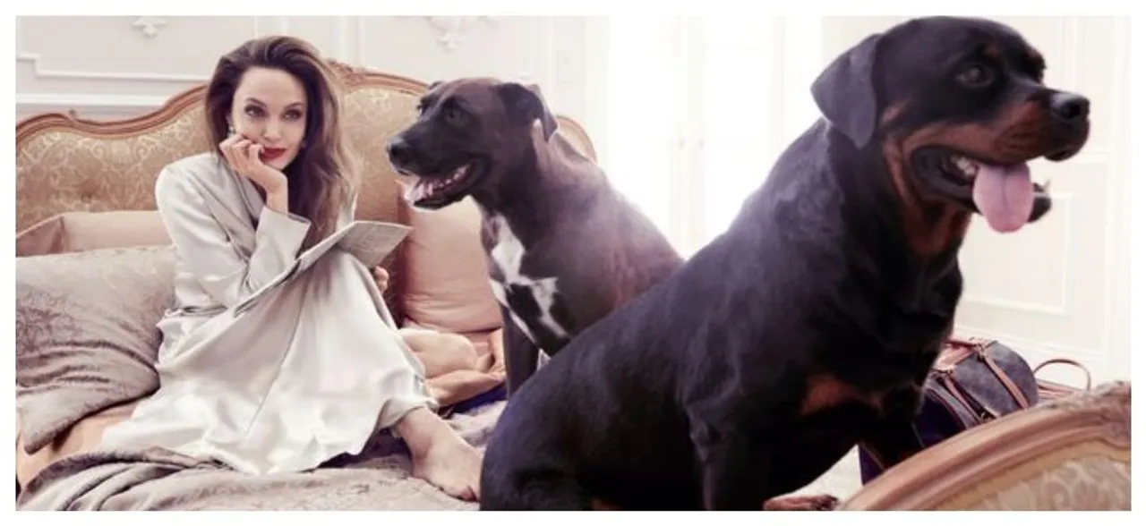Angelina Jolie sides with 'Wicked women', hereâ€™s why 