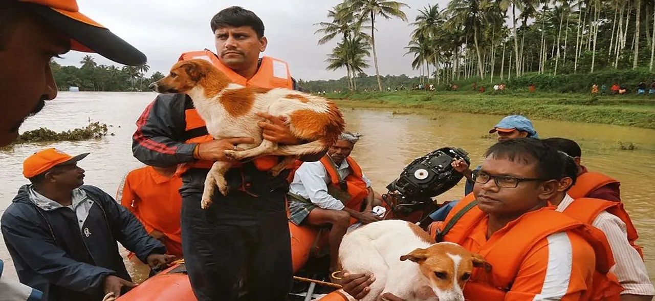 Rahul Gandhi arrives in Kerala to review flood situation as death count rises to 60 