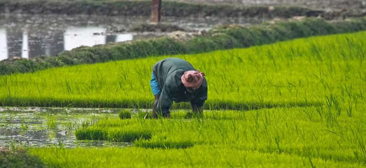 PM Kisan Yojana: 2 crore farmers to be enrolled for Rs 3,000 monthly pension scheme by August 15