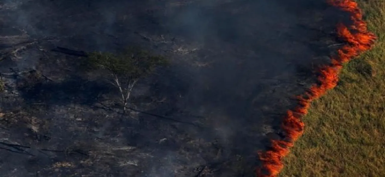 Amazon Fires: Why are Earth's lungs burning?