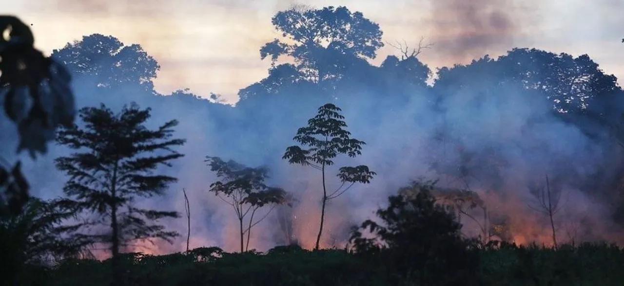 'We stand ready to assist', Donald Trump offers help to Brazil with Amazon rainforest fires