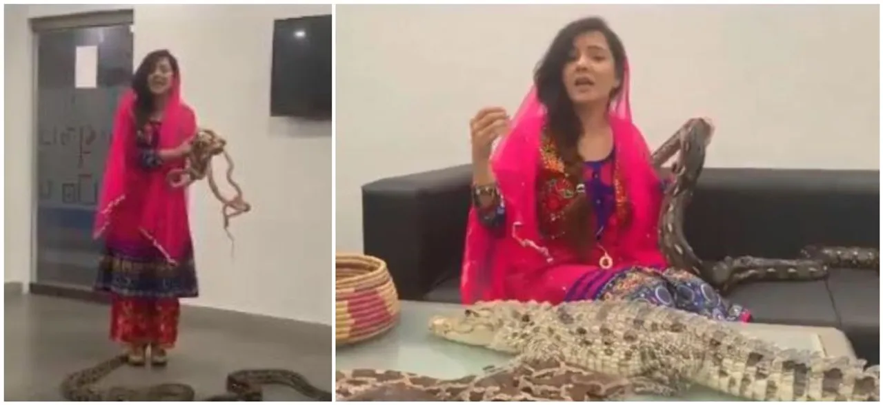 Watch: 'My Friends Will Feast On You'- Pak Singer Threatens PM Modi, India With Snakes & Alligators