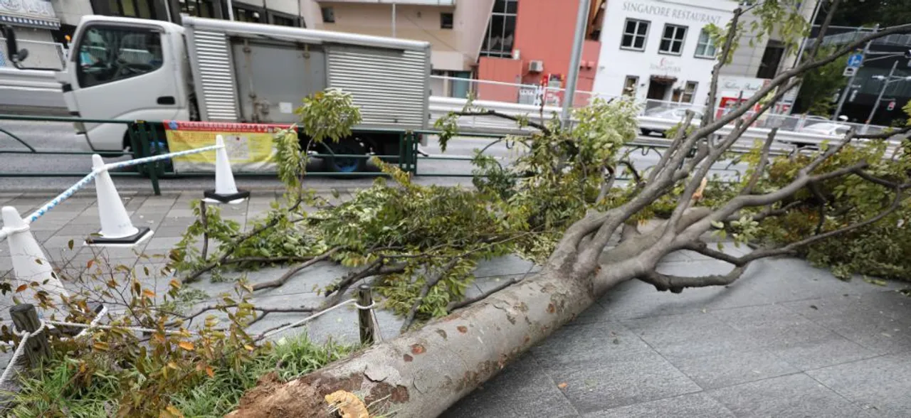 Almost 80,000 Homes Still Without Power A Week After Japan Typhoon