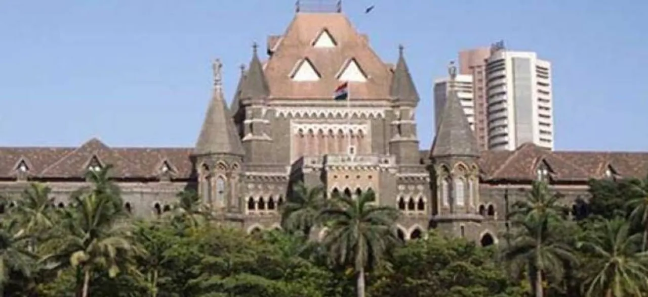 Bombay High Court Stops Authorities From Cutting Trees In Mumbai's Aarey, Next Hearing On September 30