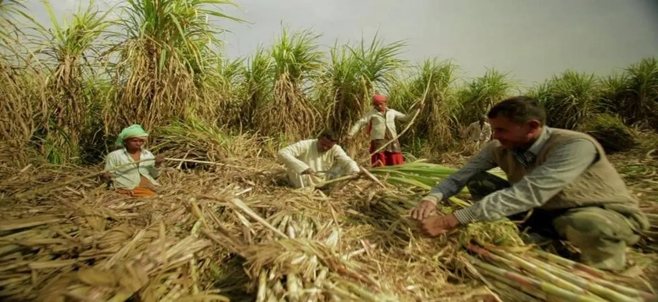 Clear Farmers' Due By October 31st Or Face action, UP Govt To Sugar Mills 