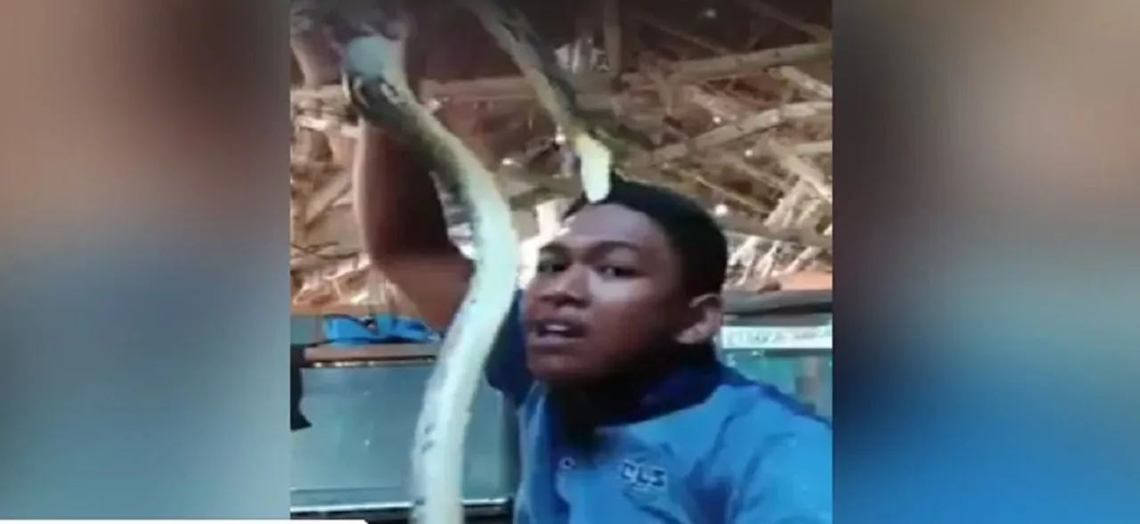 WATCH: Man Plays With Snake On Camera, Gets Bitten On Forehead