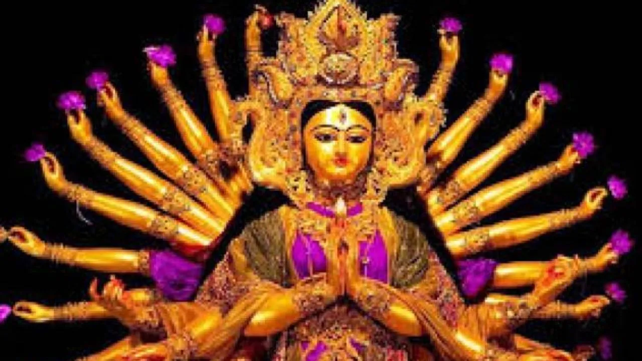 Navratri 2019: Dos and Donts for Devotees Who Want To Keep Fast