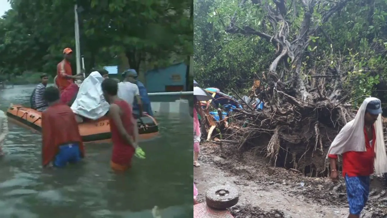 Heavy Rains: Over 100 Killed Across India In 4 Days, Bihar Sees 29 Deaths On Sunday