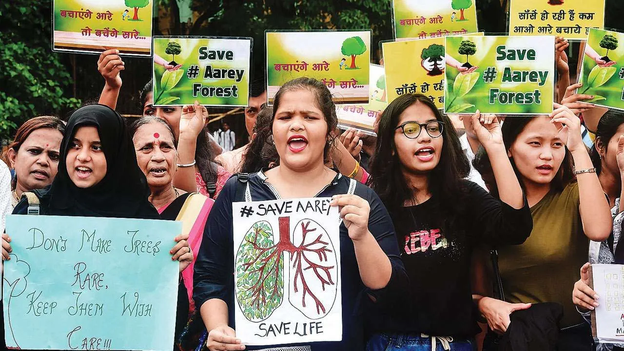 Aarey: 'Don't Cut Any More Trees', Supreme Court Directs Govt To Maintain Status Quo