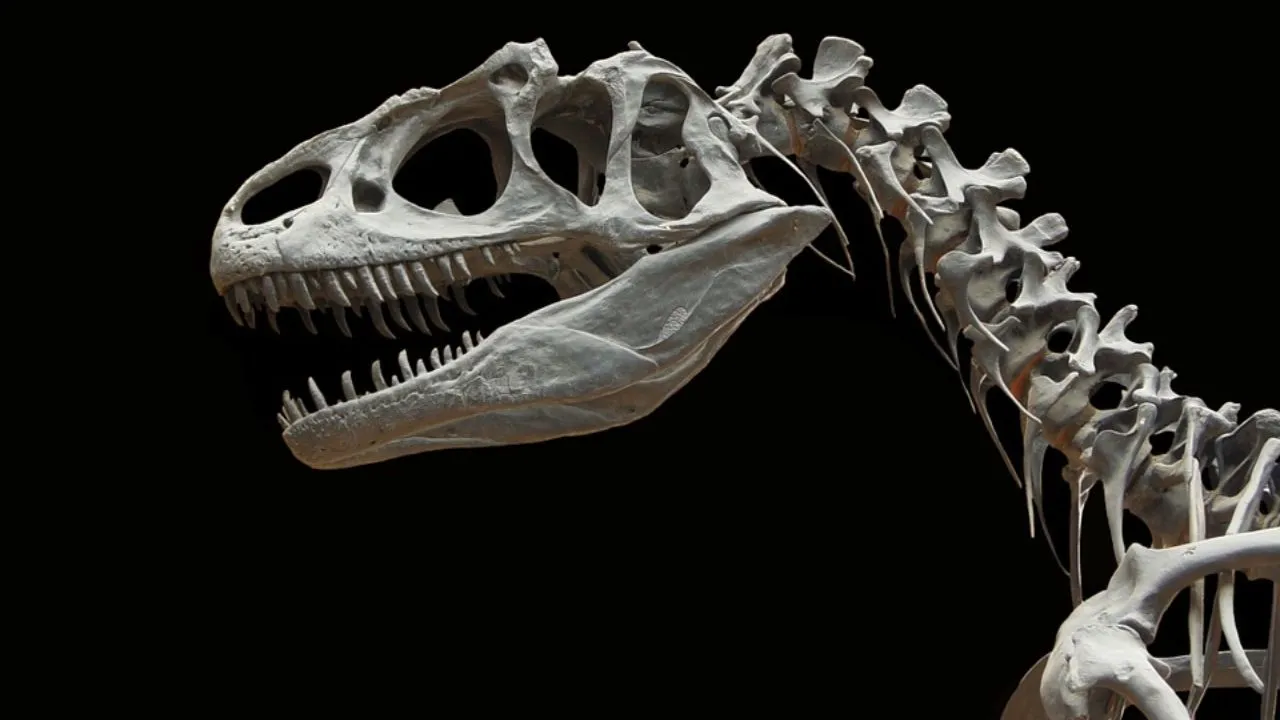 26-feet-long Meat-Eating Dinosaur Which Lived 145 Million Years Ago Unearthed in Thailand