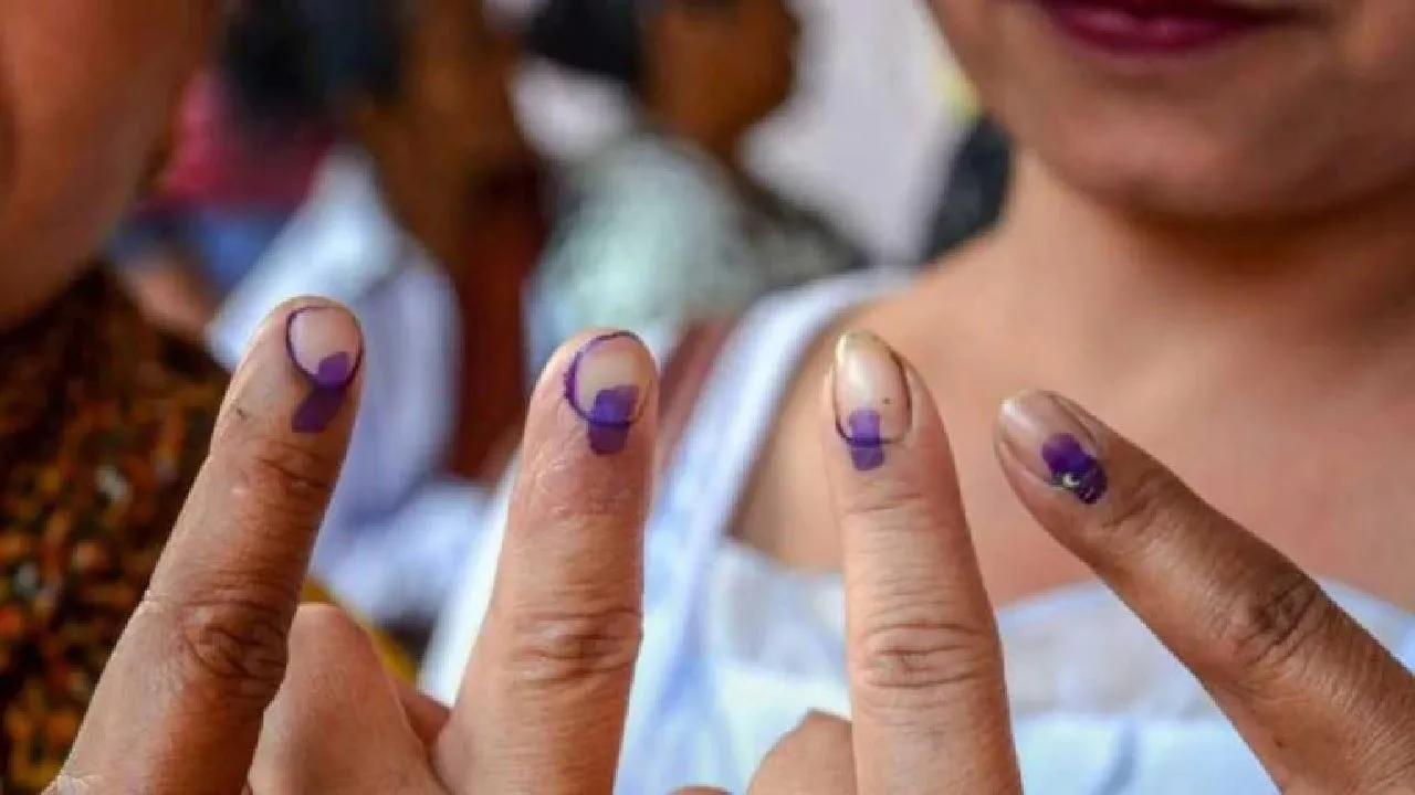 Students Union Election At Allahabad Central University Cancelled, Contestants Withdraw Nomination