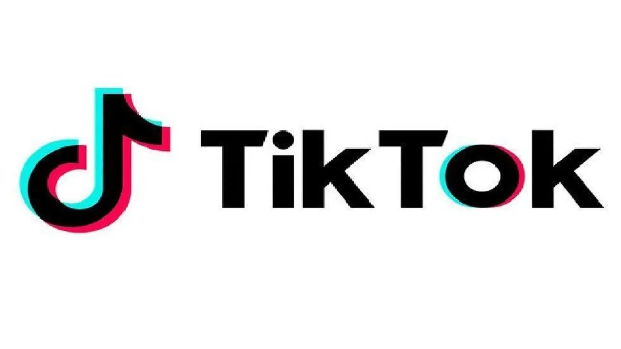 TikTok Launches EduTok Program To 'Democratize e-Learning'