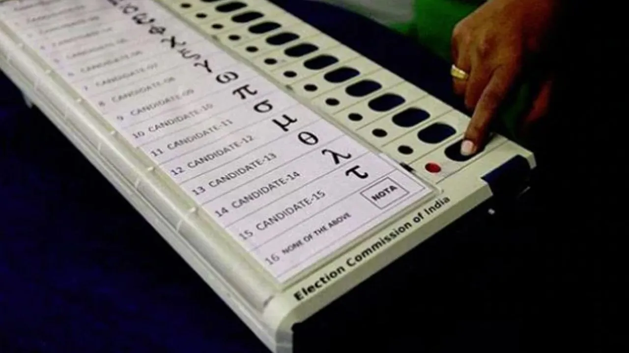 Haryana Assembly Election Results 2019: Brisk Repolling In Five Booths