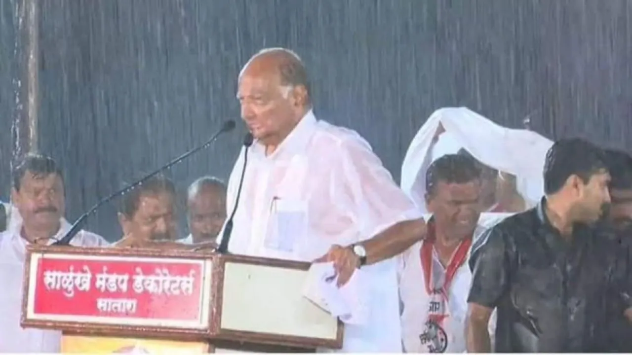Shivaji's Descendant Udayanraje Bhosale Trails As Sharad Pawar's Rain-Soaked Speech Sweeps Satara