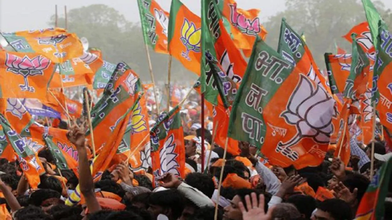 We Will 'Comfortably' Form Next Government With Shiv Sena: BJP