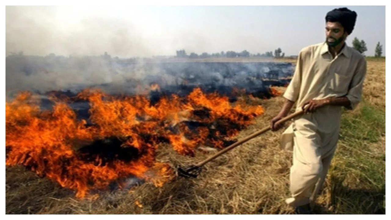 NASA Images Show Drastic Rise Of Crop Burning In Punjab, Haryana: Delhi Government