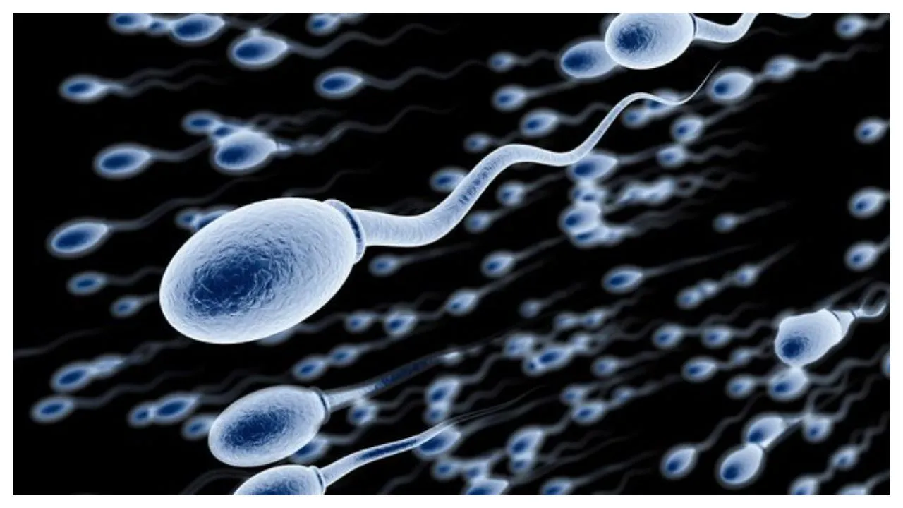 Mum Suing Sperm Bank For Giving Birth To Dwarf When She Picked 6â€™Ft Tall Donor Instead