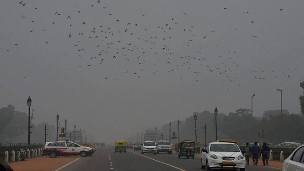 Delhi's Air Quality 'Very Poor', But Drastic Decline Unlikely Till Tuesday: SAFAR
