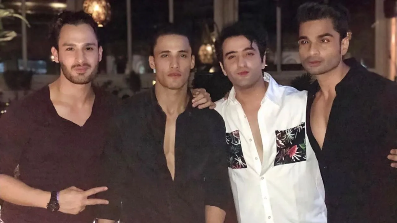 Bigg Boss 13: Asim Riazâ€™s Brother Slams Tehseen Poonawala For Bullying Him On Show