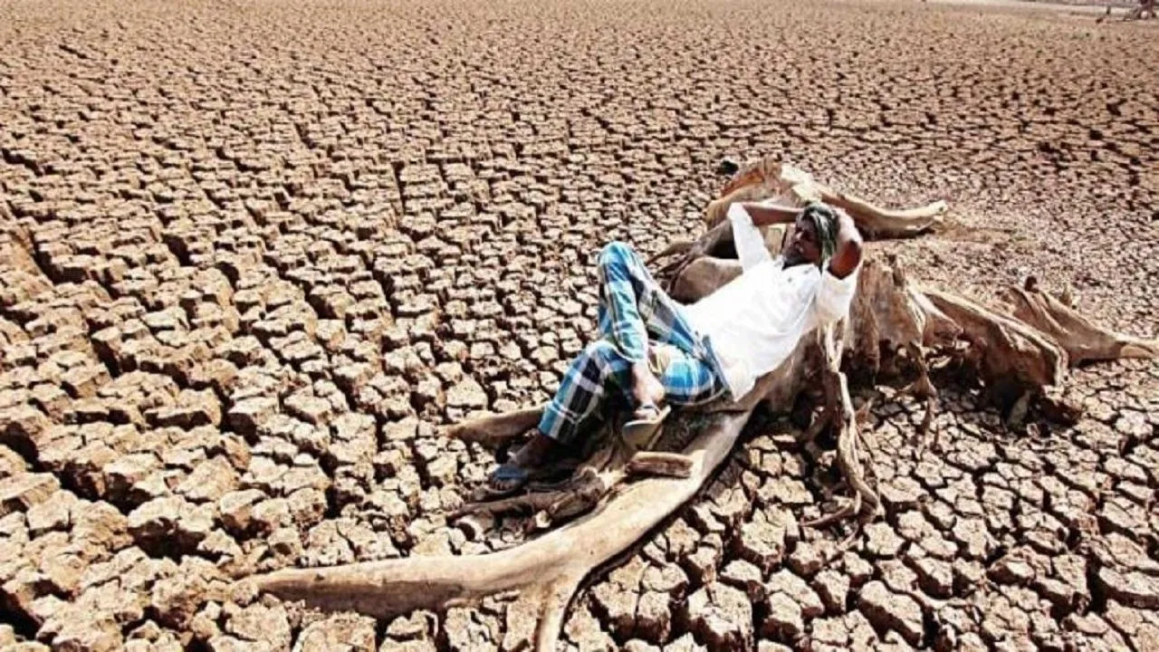 Rajasthan Declares 1,388 Villages In 4 Districts 'Drought-Affected'