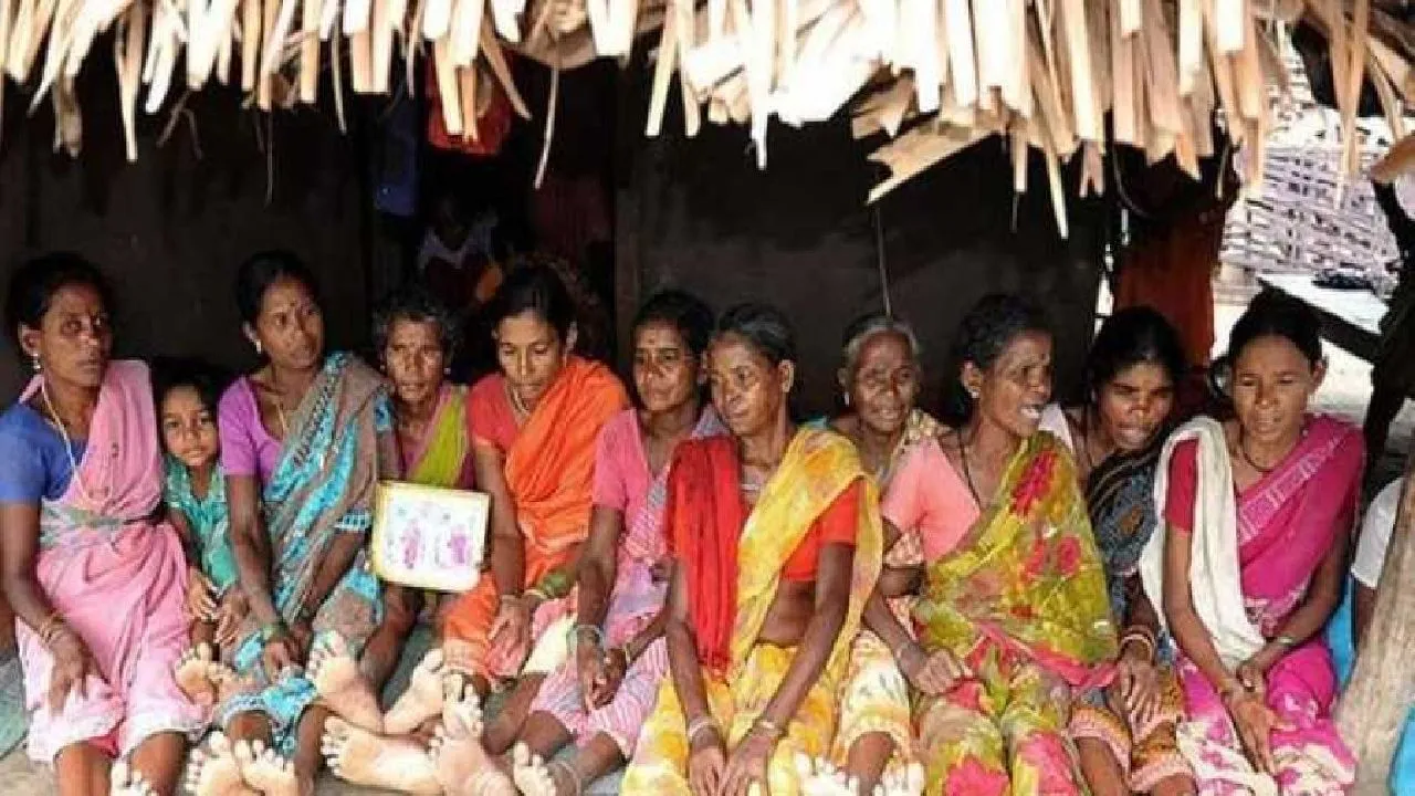 Nearly 13,000 Tribals Become Literate In Kerala In Two Years