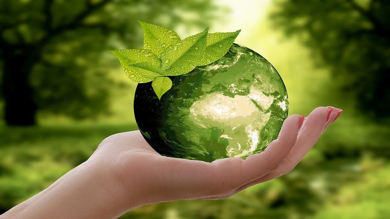 Organic Agriculture University To Come Up In Goa Soon