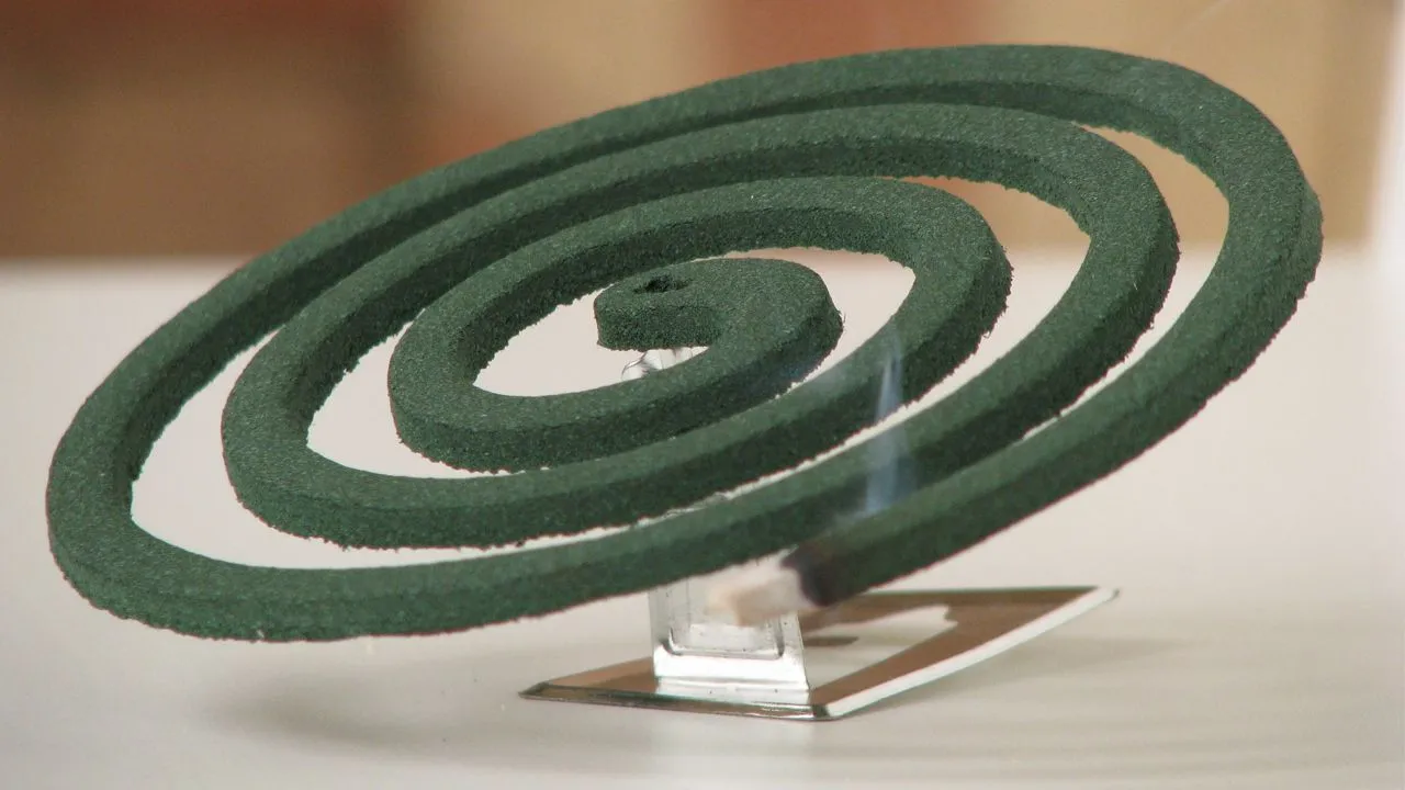 Tragic! Couple Killed As Mosquito Coil Sets House Afire In Uttar Pradesh