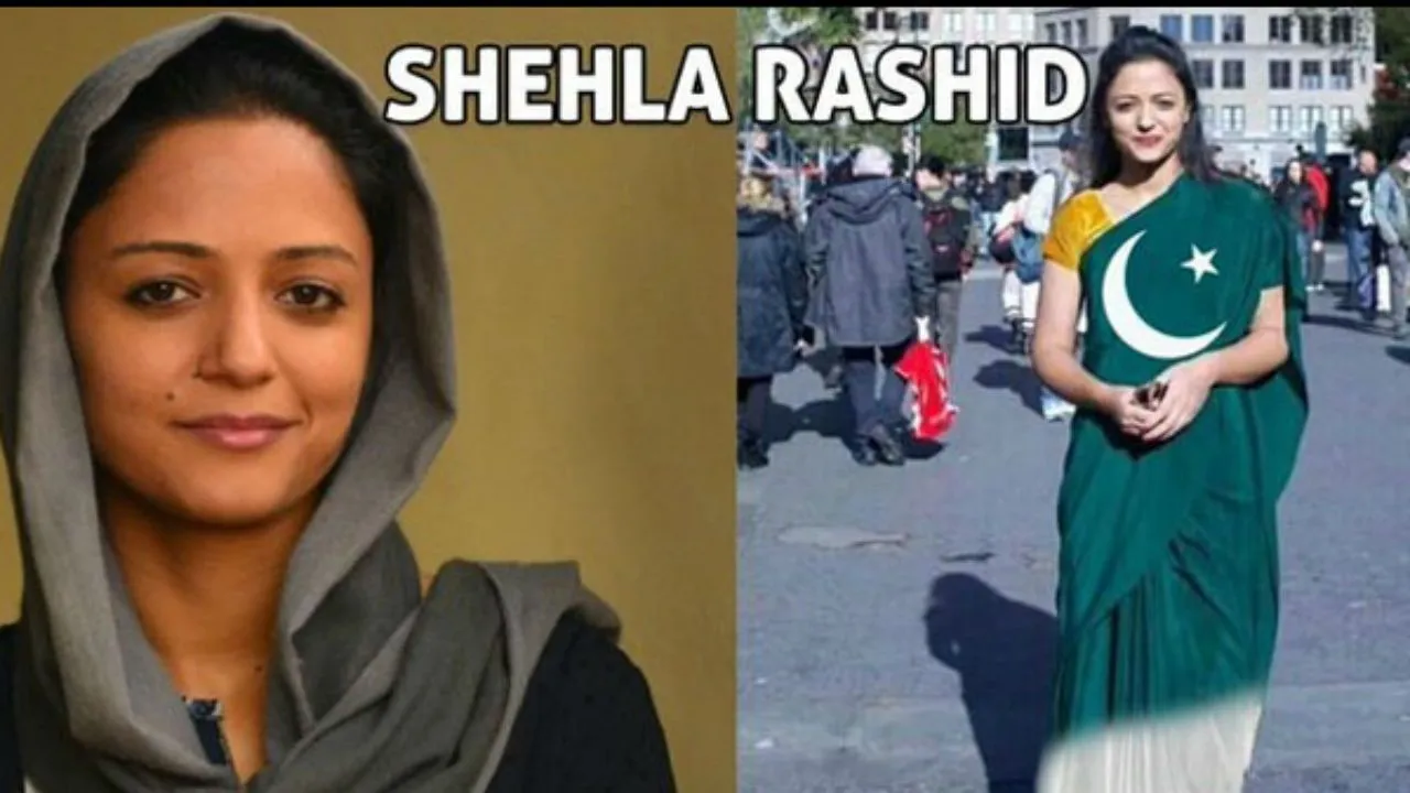 Fact Check: Did Shehla Rashid Wear Saree With Pakistan Flag On Foreign Visit?