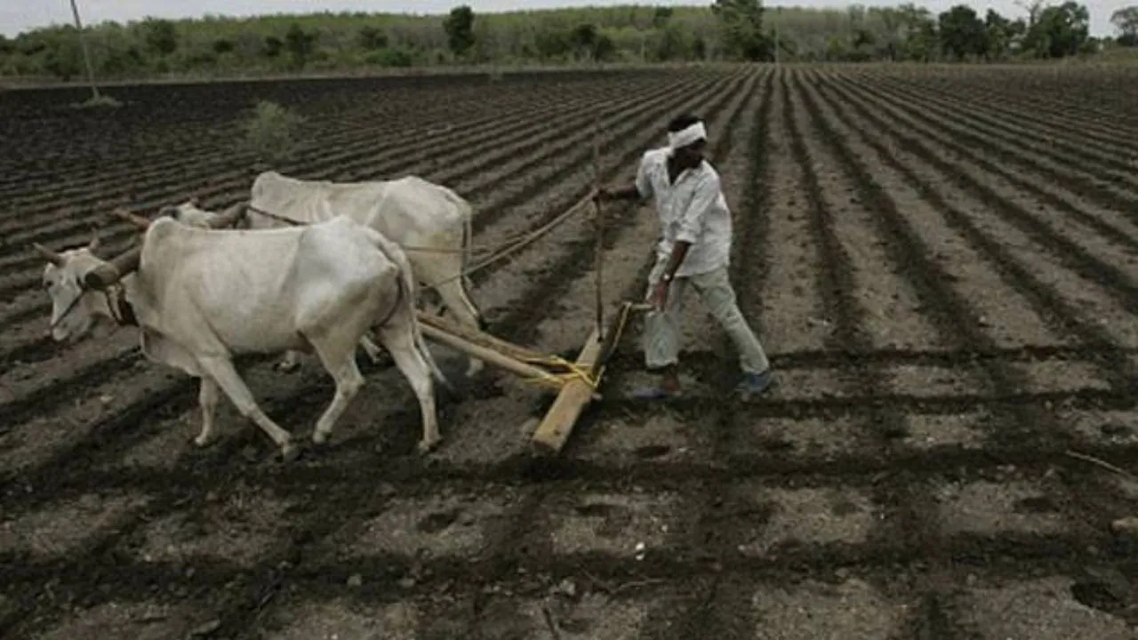 Soon, Radio Channel To Inform Maharashtra Farmers About Climate Change