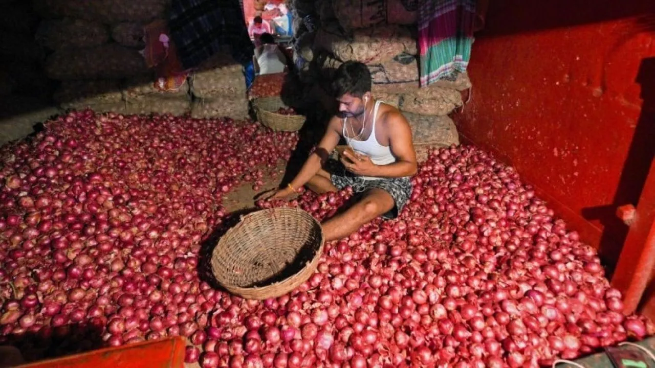 Cabinet Approves Import Of 1.2 Lakh Tonnes Of Onion To Ease Domestic Supplies: Sitharaman