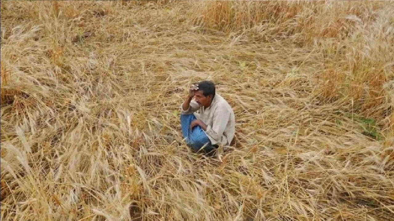Centre Explains Why Data On Farmer Suicide Cases Was Not Published By NCRB