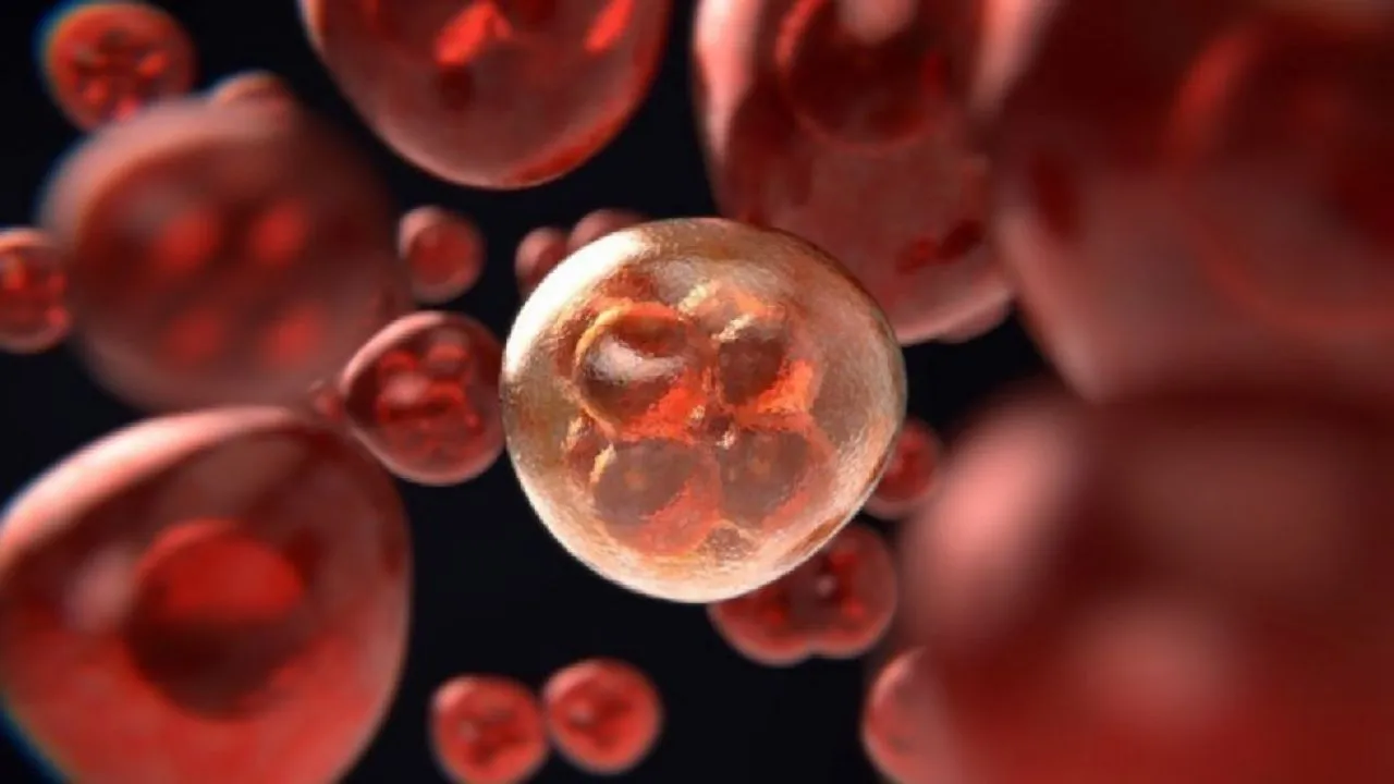 New Home Test Can Detect Aggressive Prostate Cancer, Claims Study