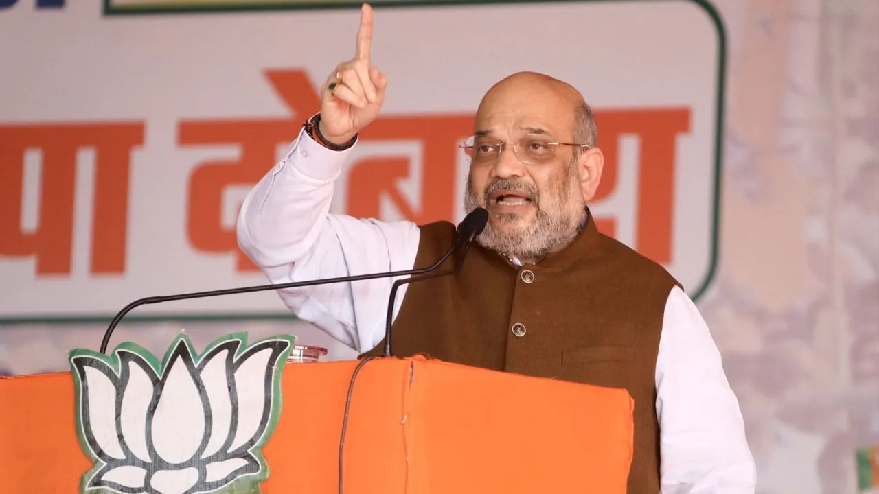 Government, BJP Strongly Condemn Pragya's Remarks On Nathuram Godse: Amit Shah