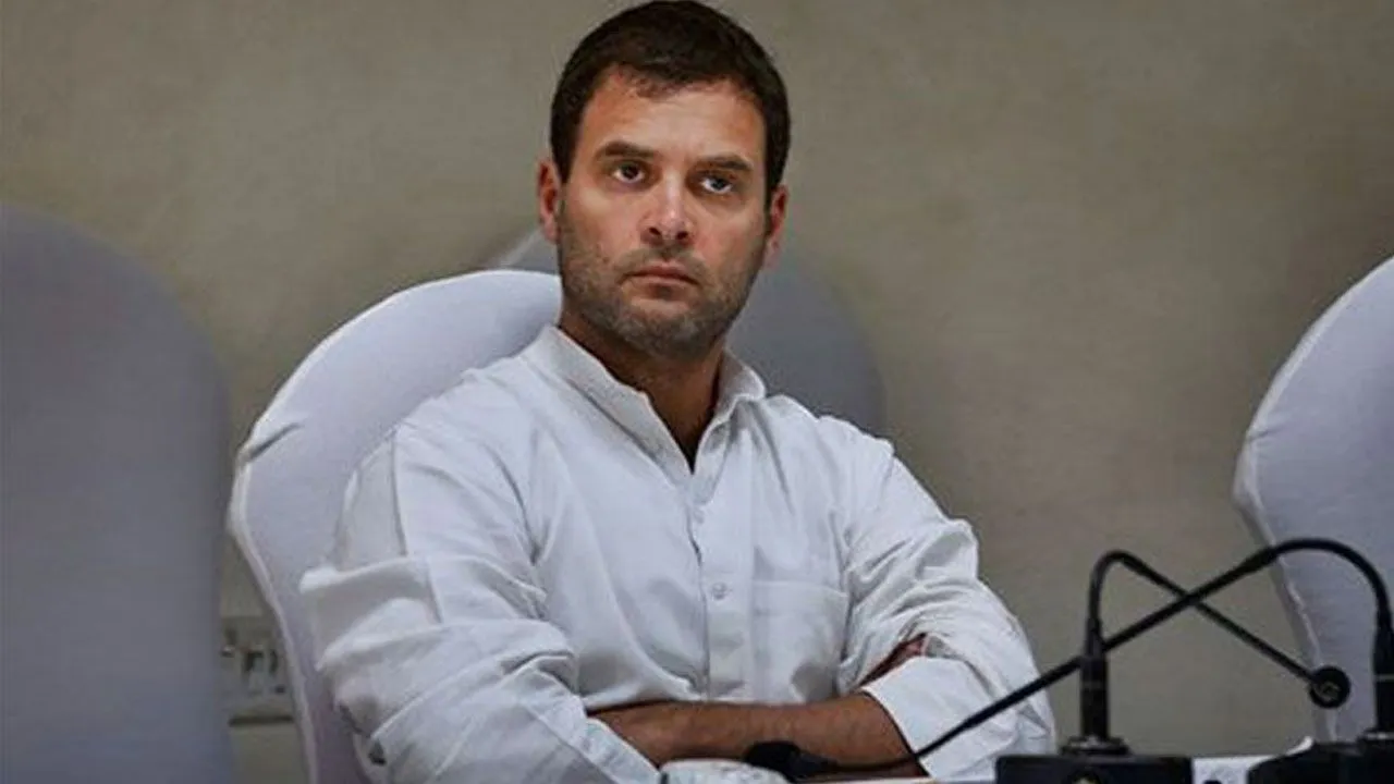 'No One Asked Her': Rahul Gandhi Takes Jibe At Finance Minister Nirmala Sitharaman Over Onions