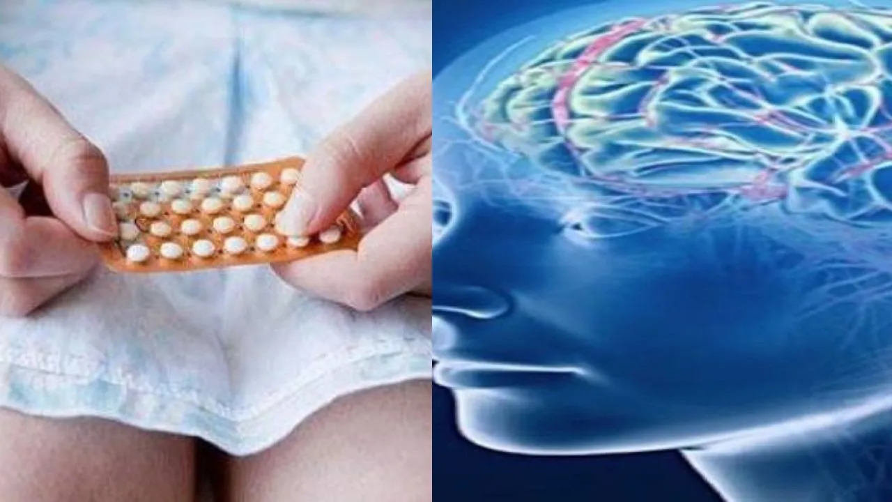 Birth Control Pills Shrink Part Of Brain Controlling Appetite, Sex Drive, Mood In Women: Study