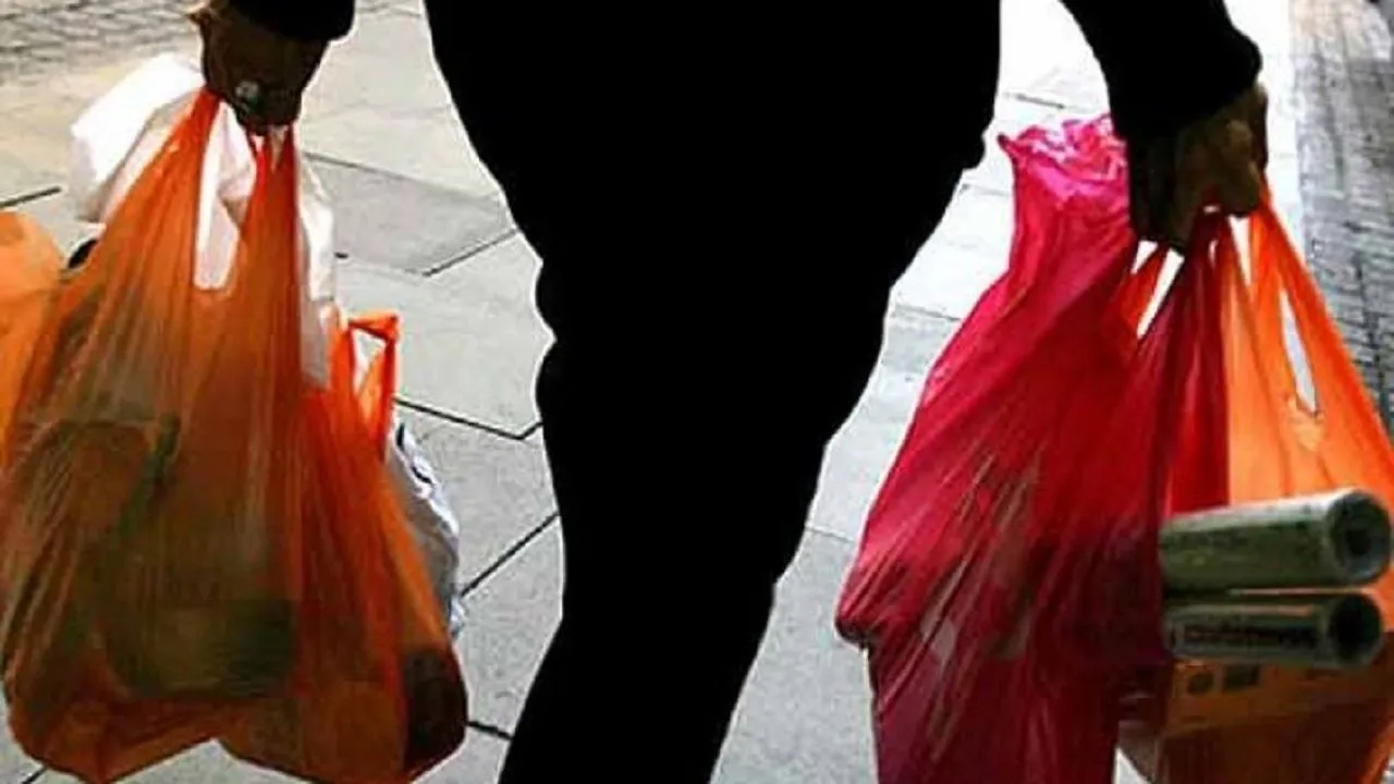 NGT Bans Use, Manufacture Of Plastic Bags Less Than 50 Microns Thickness In Country