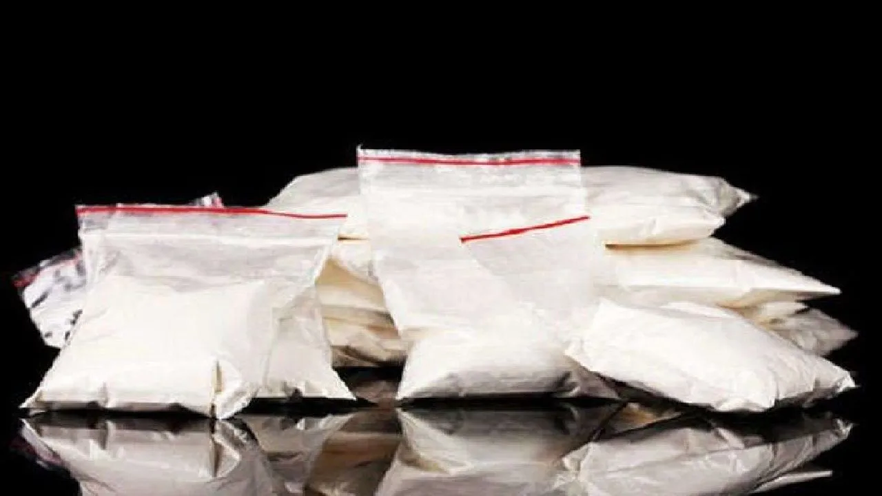 NCB Busts Massive International Drugs Cartel, Narcotics Worth Rs 1,300 Crore Seized