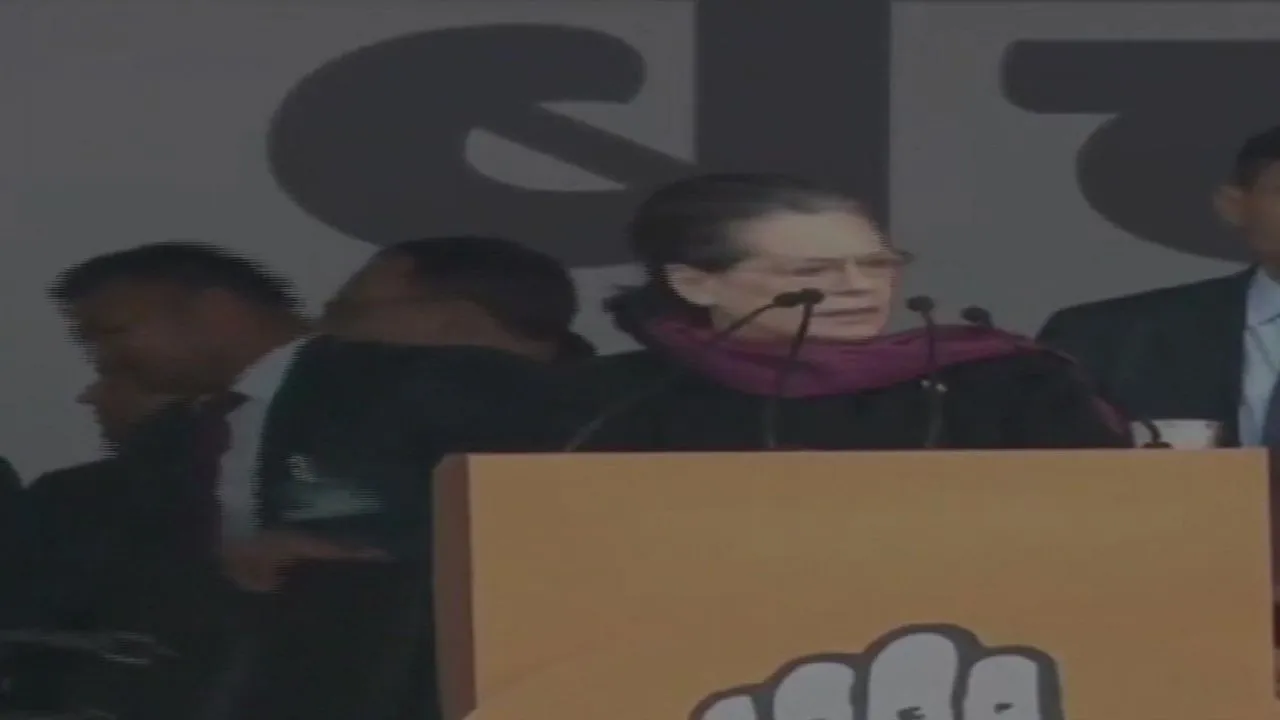 Country Is In A Grave Crisis Now, Time Has Come To Save It: Sonia Gandhi 