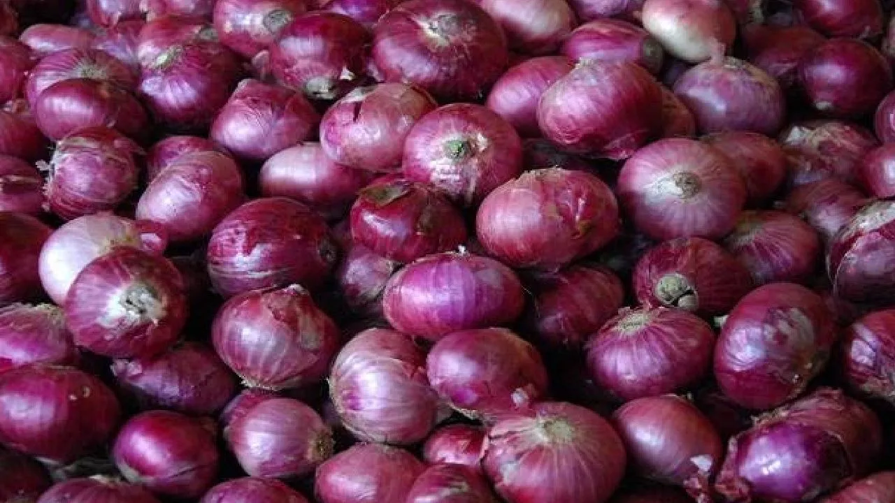 Maharashtra Cloth Shop Offers Free 1 Kg Onions On Rs 1,000 Purchase