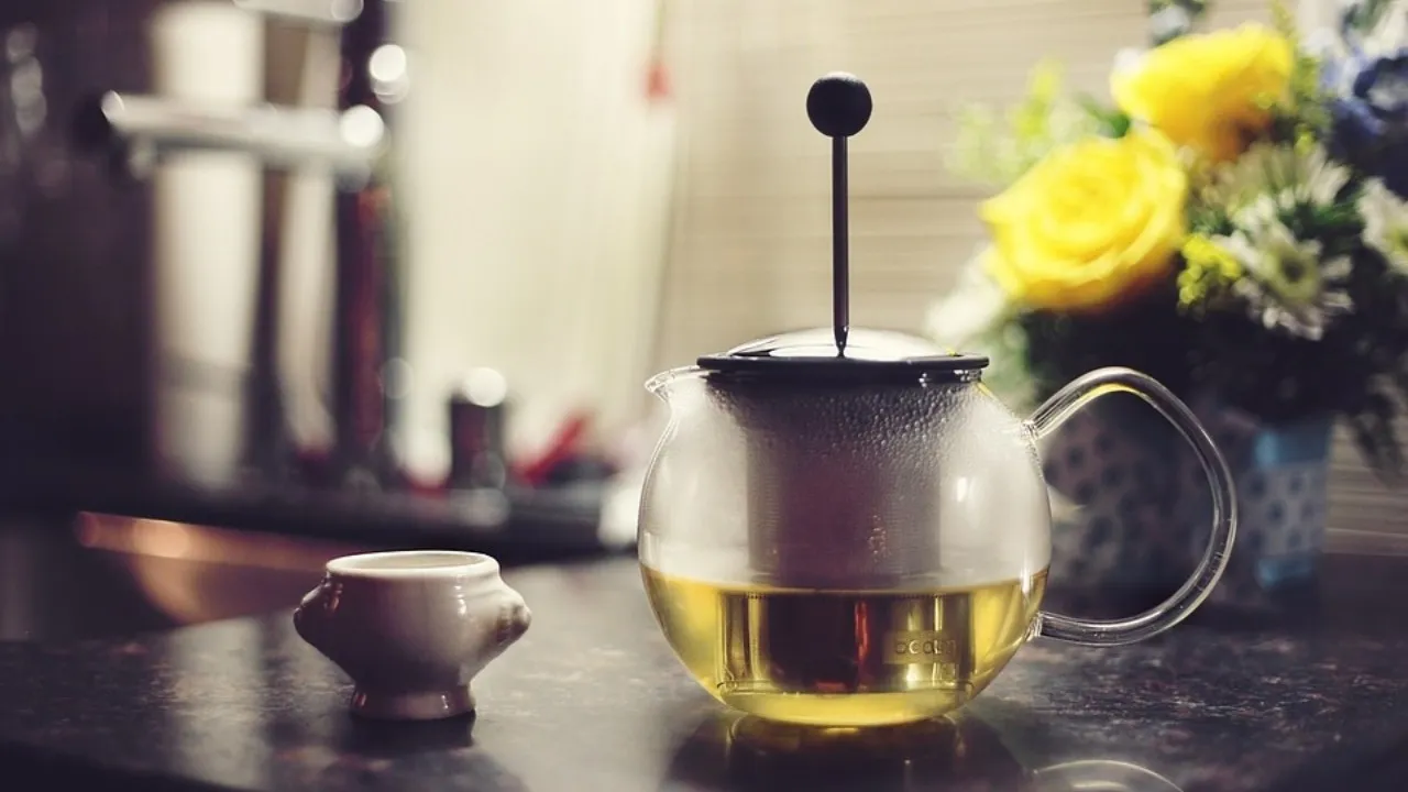  Green Tea Plant Compound May Help Fight TB: Study