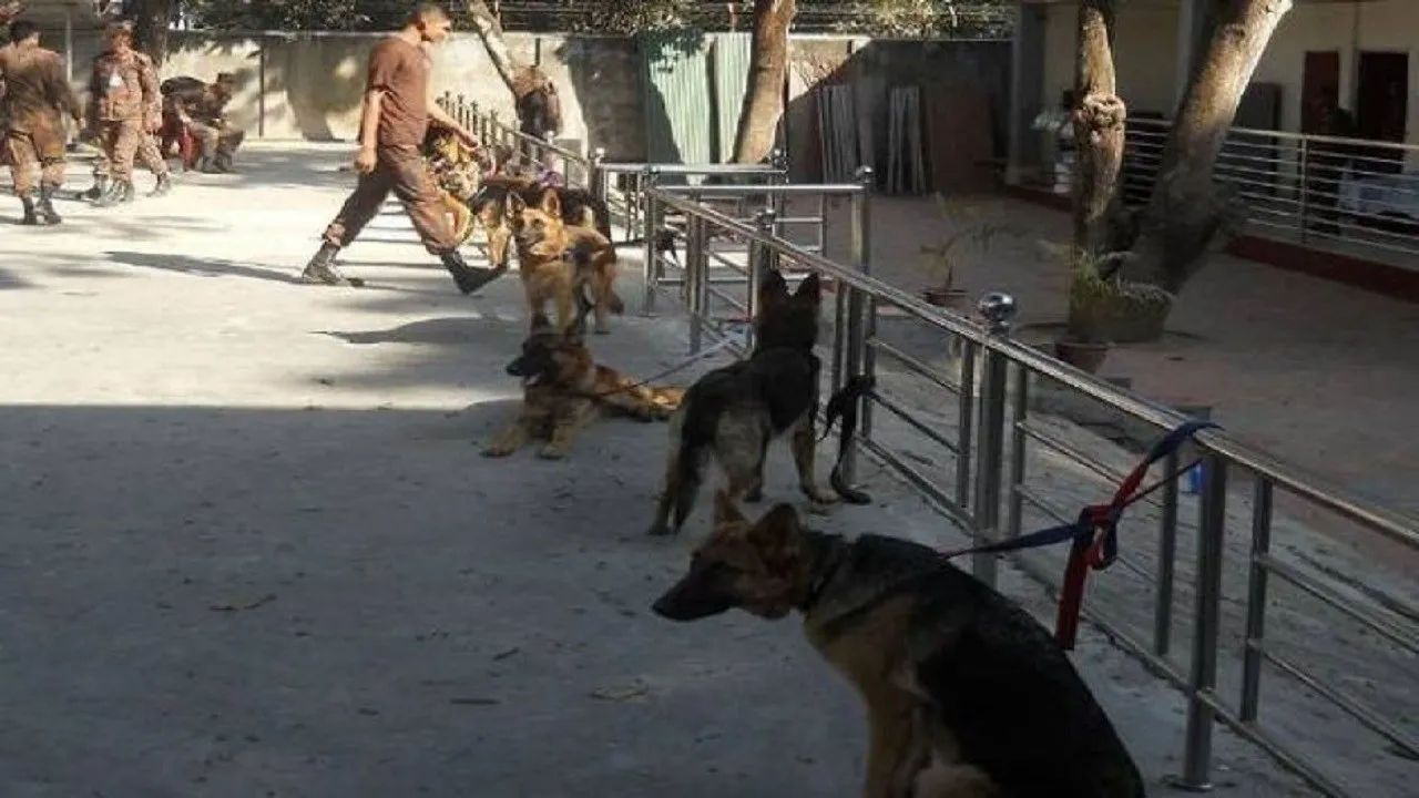 US Stops Sending Sniffer Dogs To Jordan, Egypt Over â€˜Lack Of Careâ€™