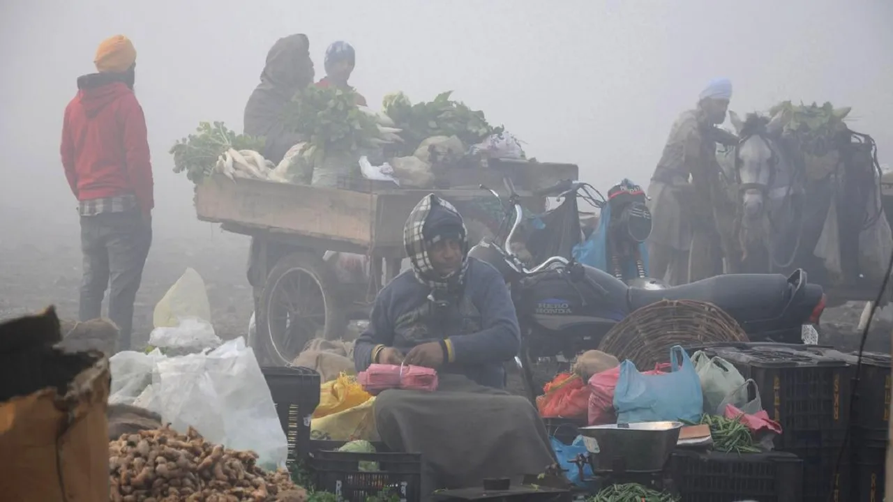 Cold Wave Tightens Grip In National Capital, Weather Department Issues Red Warning