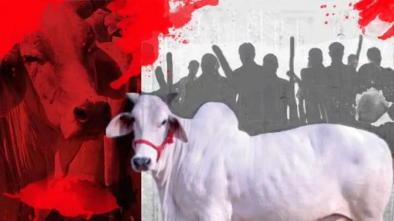 Rajasthan: Villagers Attack Police Station After Cops Fail To Catch 'Cow Smugglers'