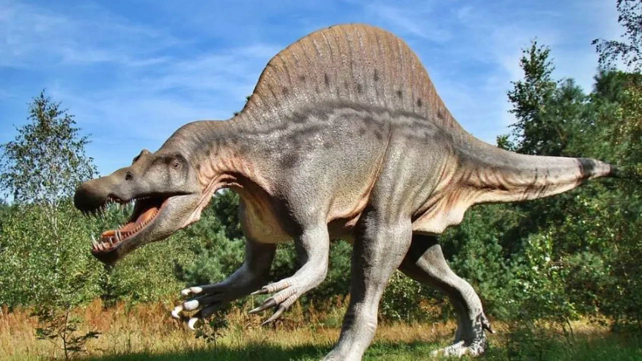 'Teenage' T. Rex Fossils Shed Light On Dinosaur's Growth Rate: Study