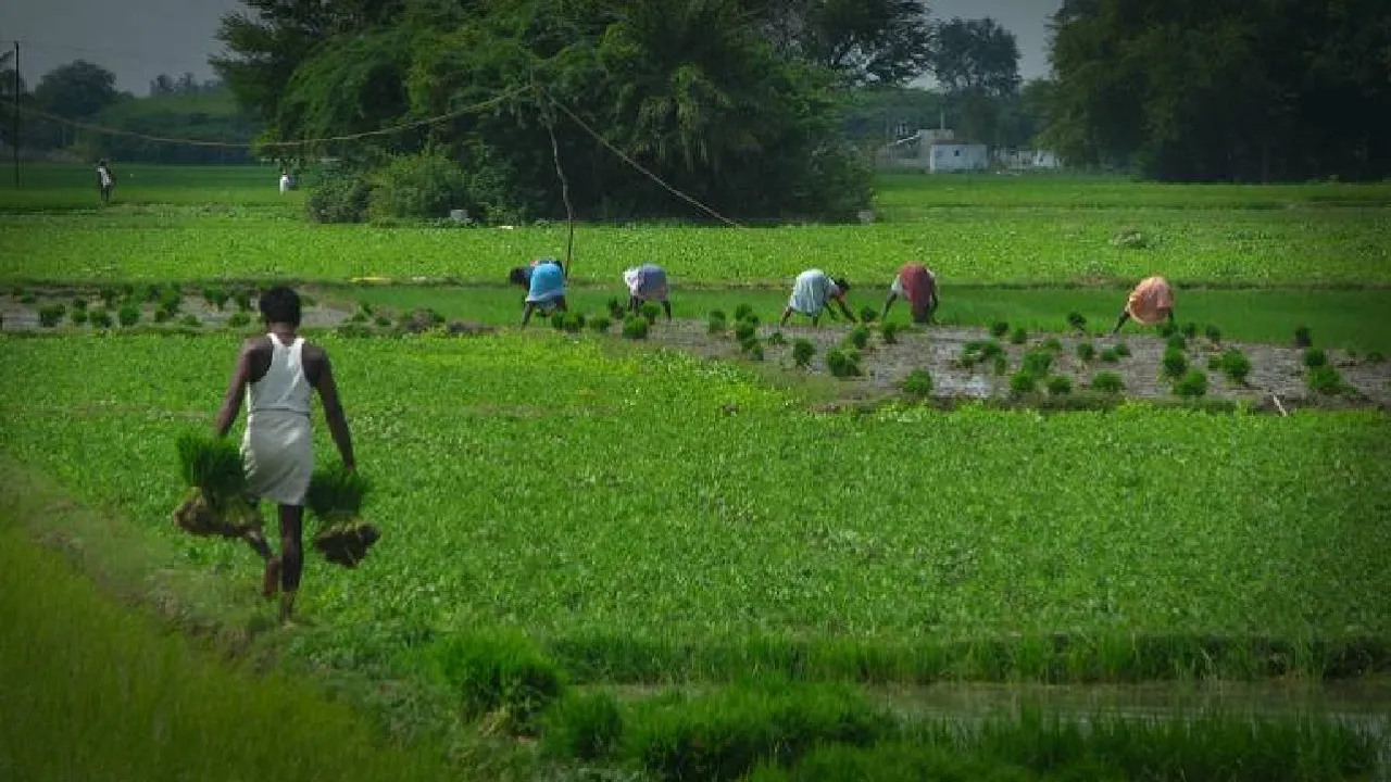 8 States Finalise Action Plan For Agri Export Policy: Government
