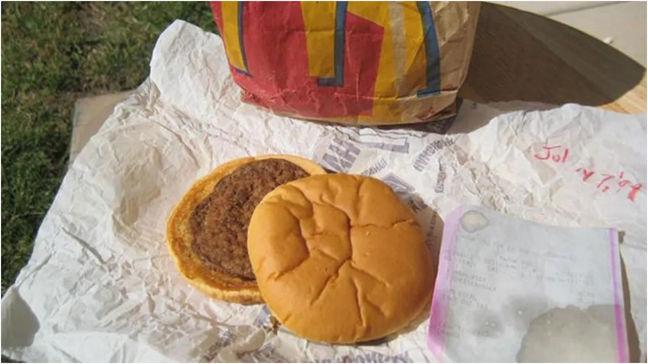 This McDonald's Burger Bought In 1999 Still Looks Fresh And We Are Speechless!