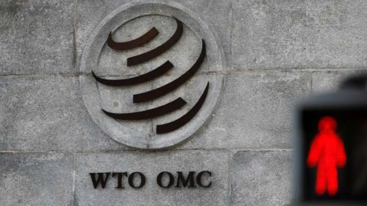 WTO Sets Up Panel Over India's Duty Hike On 28 American Goods