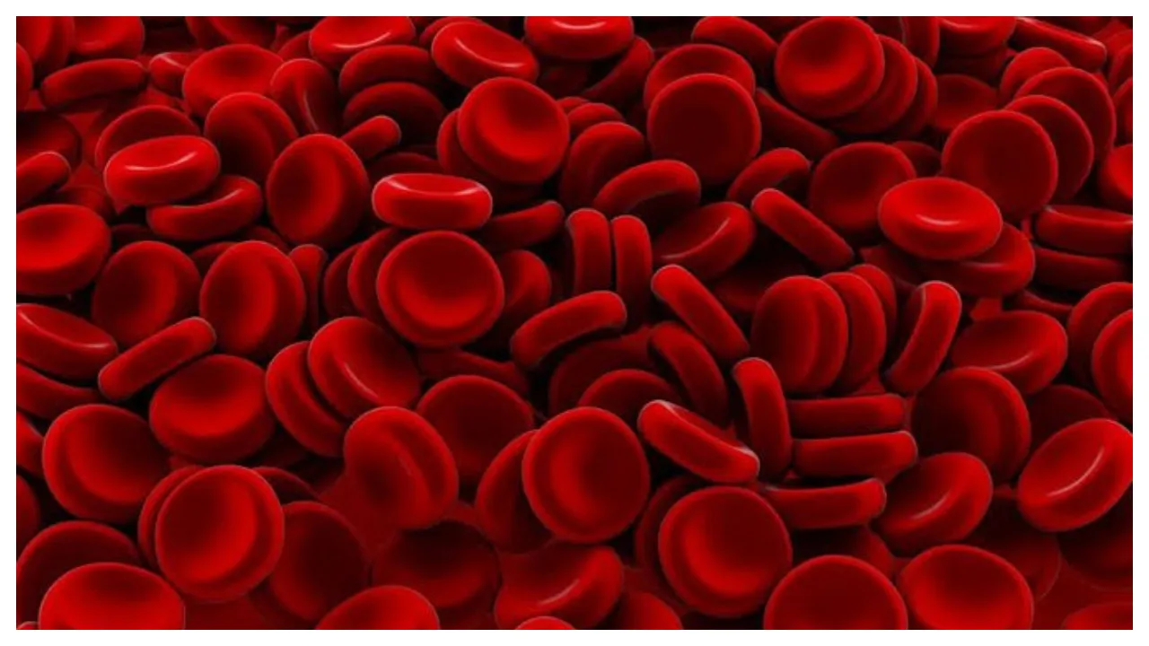 Lower Levels Of Lymphocyte Blood Cells May Be Fatal: Study