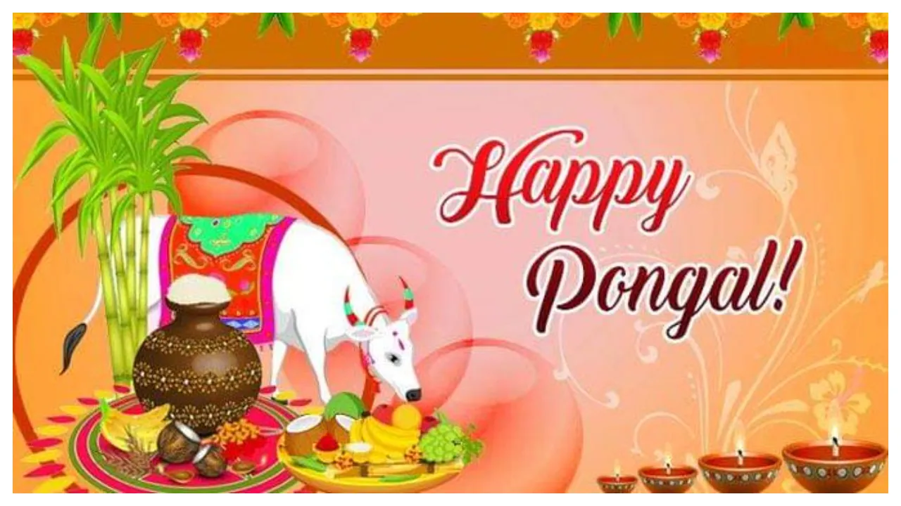 Happy Pongal 2020: Know Its Fascinating History And Why It Is Significant 